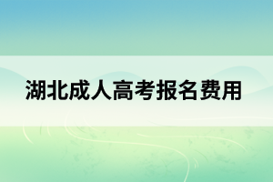 荆州成人高考报名费用